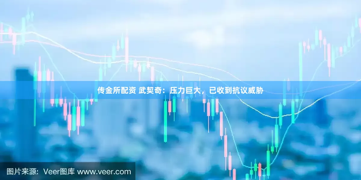 传金所配资 武契奇：压力巨大，已收到抗议威胁