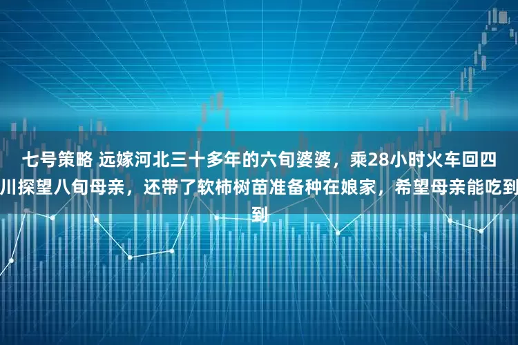 七号策略 远嫁河北三十多年的六旬婆婆，乘28小时火车回四川探望八旬母亲，还带了软柿树苗准备种在娘家，希望母亲能吃到