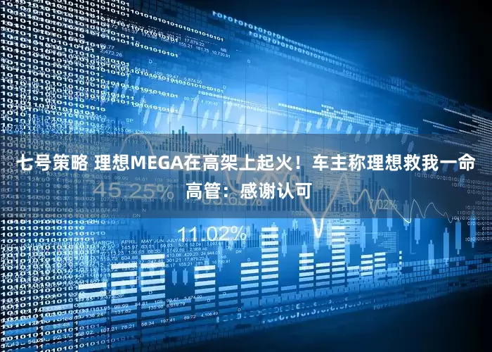 七号策略 理想MEGA在高架上起火！车主称理想救我一命 高管：感谢认可